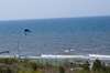 Апартаменты Apartamenty Baltic Sea Gate Дзивнувек-4